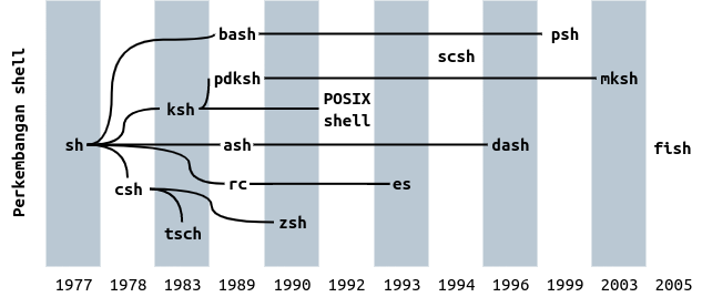 shell evolution